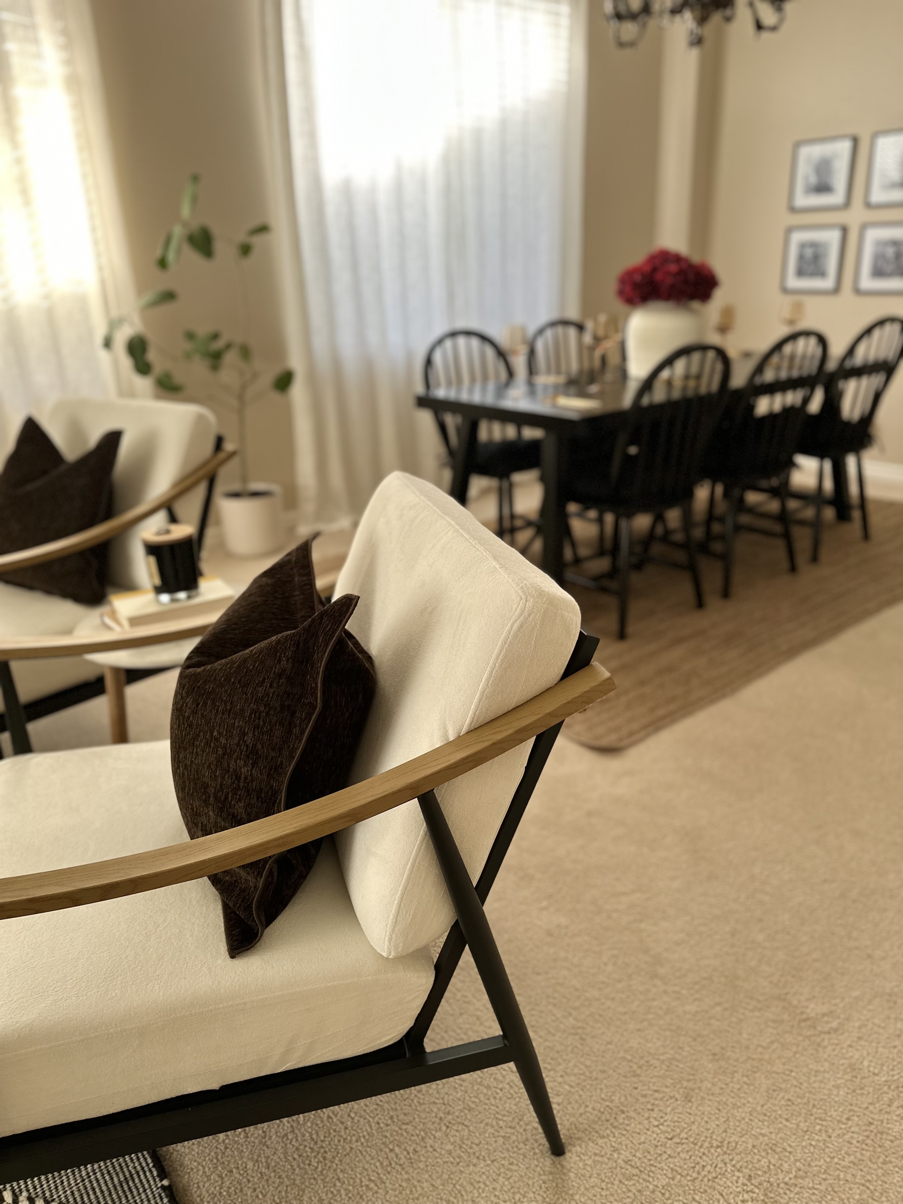 Contemporary Living Space